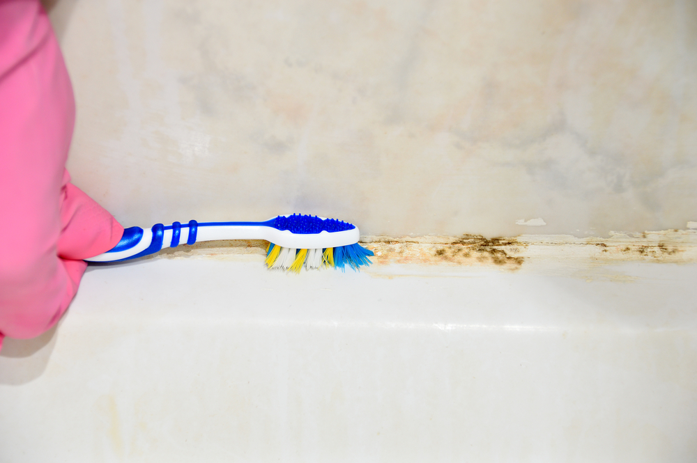 How to get rid on sale of mould in bathroom